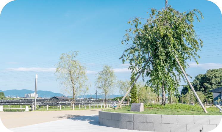 エントランス広場,茶の祭典広場,にぎわい広場