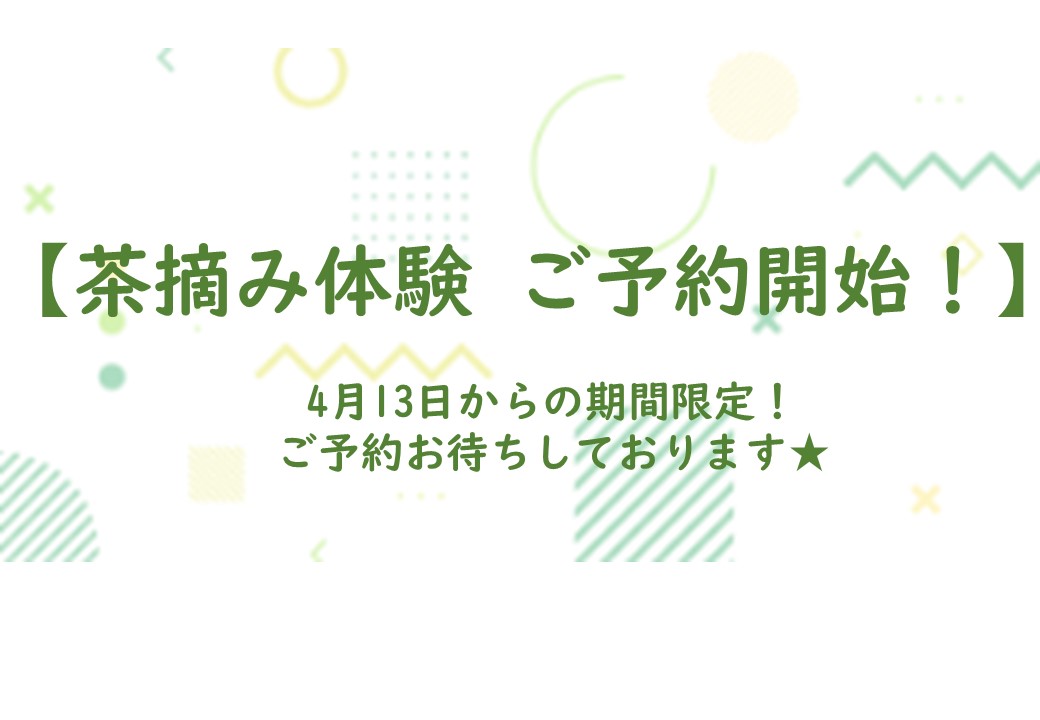 【茶摘み体験 2024年4月13日より開催決定！】